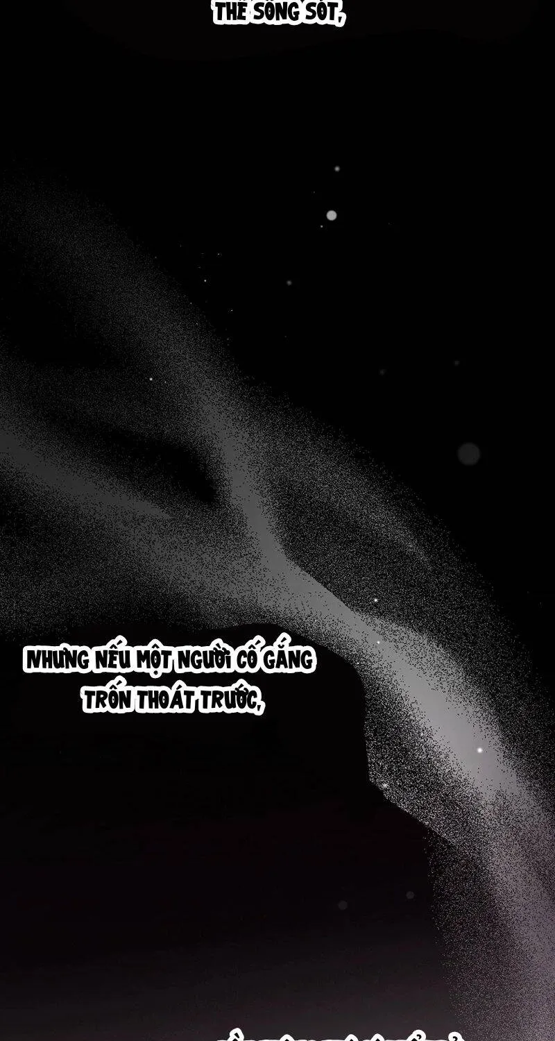 Chapter 4