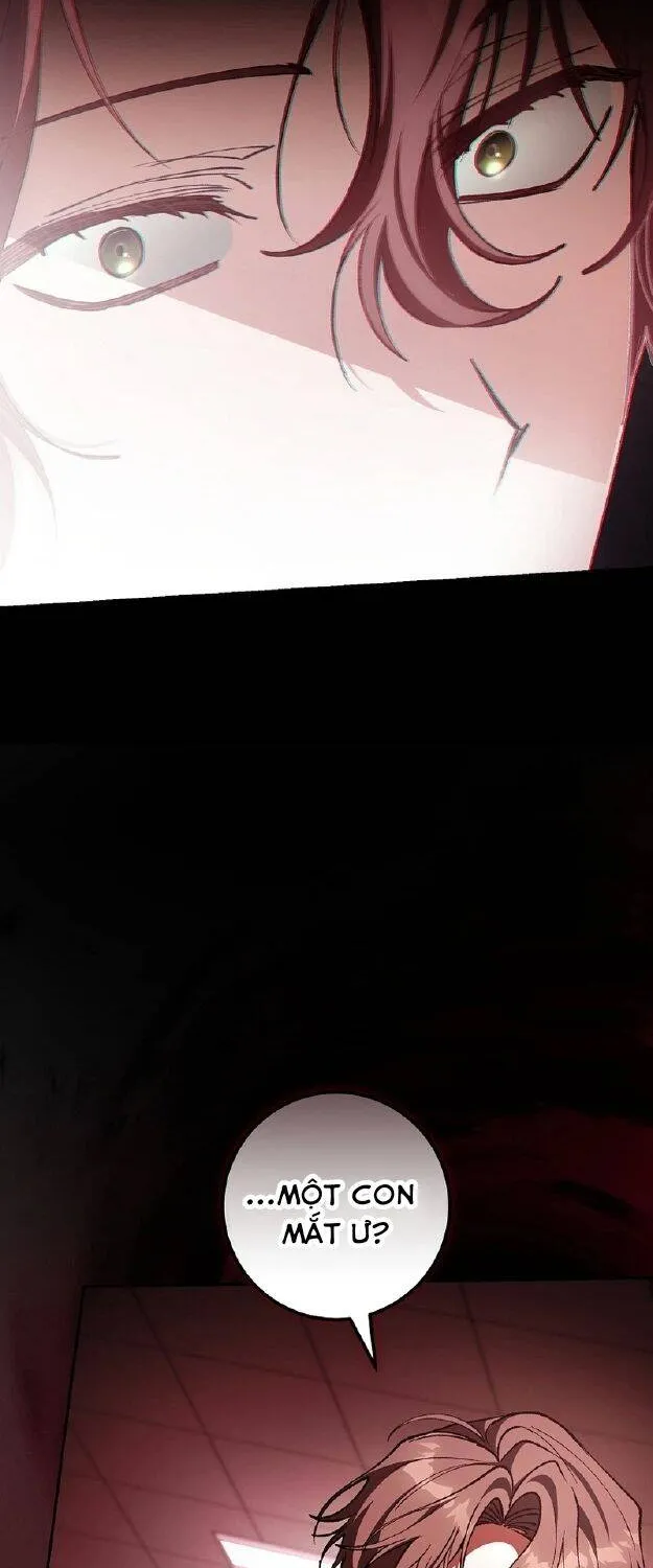 Chapter 4