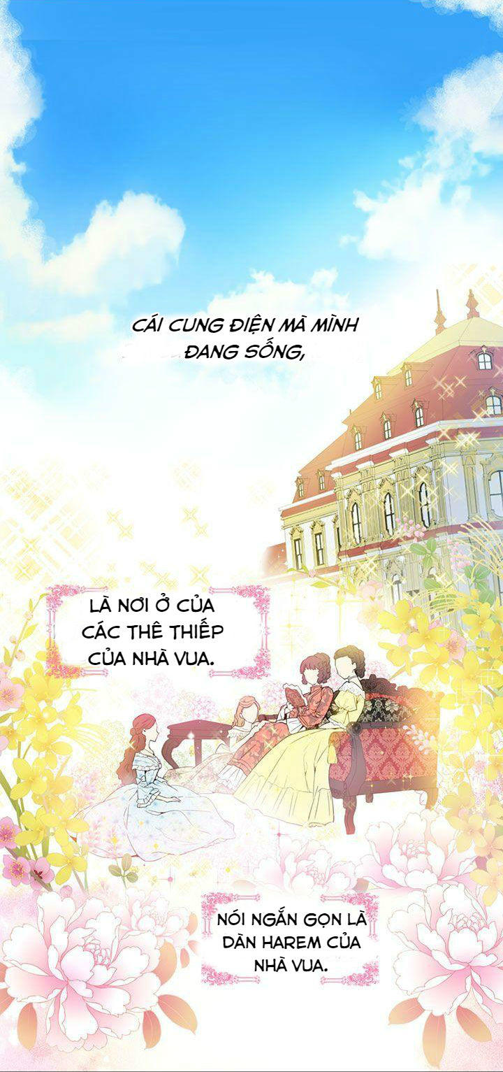 Chapter 2