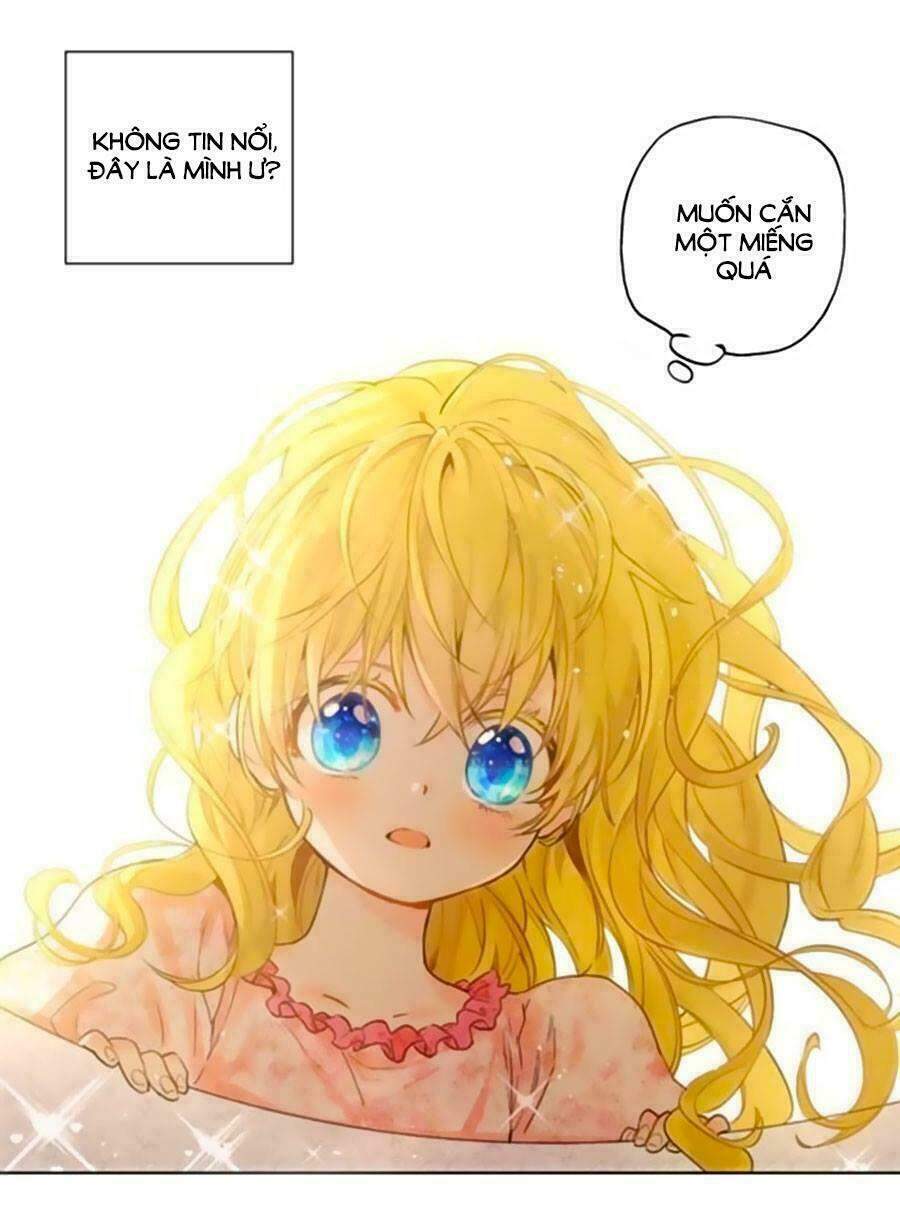 Chapter 2.5