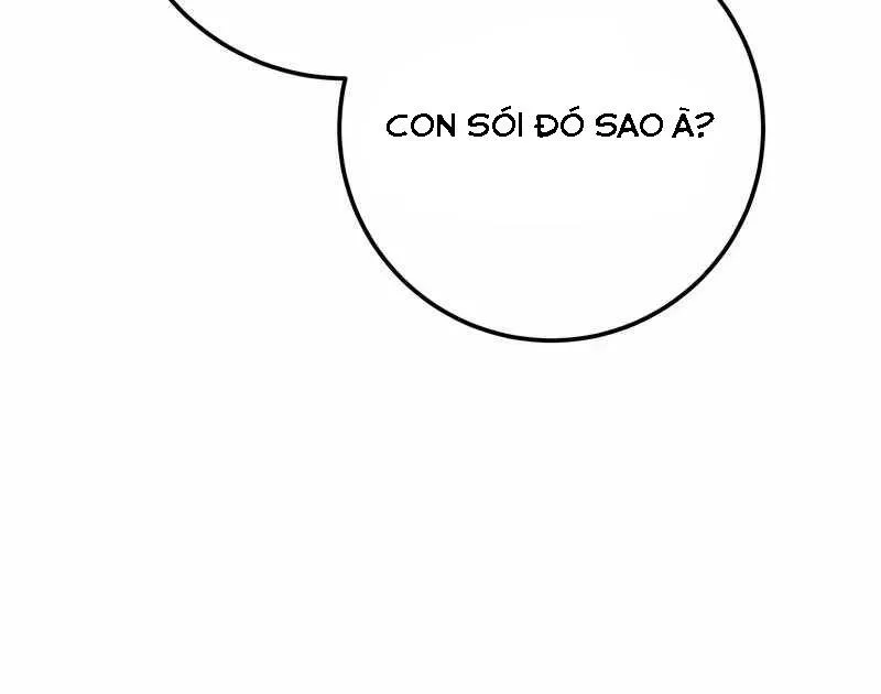 Chapter 3
