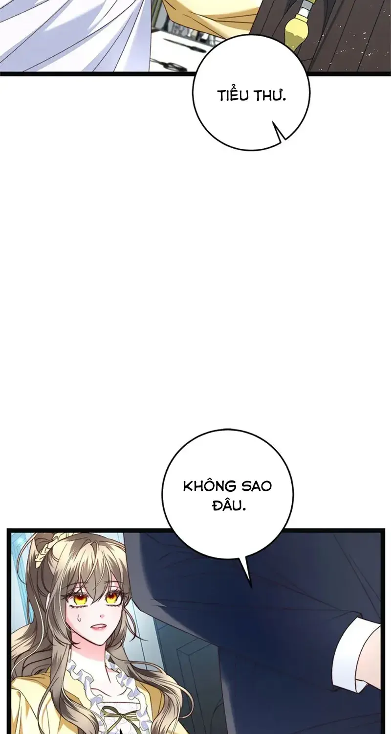Chapter 11
