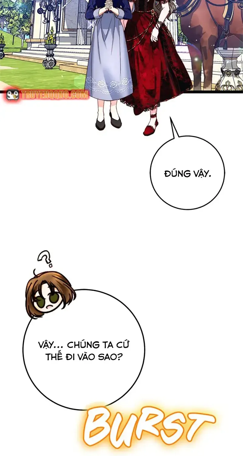 Chapter 11