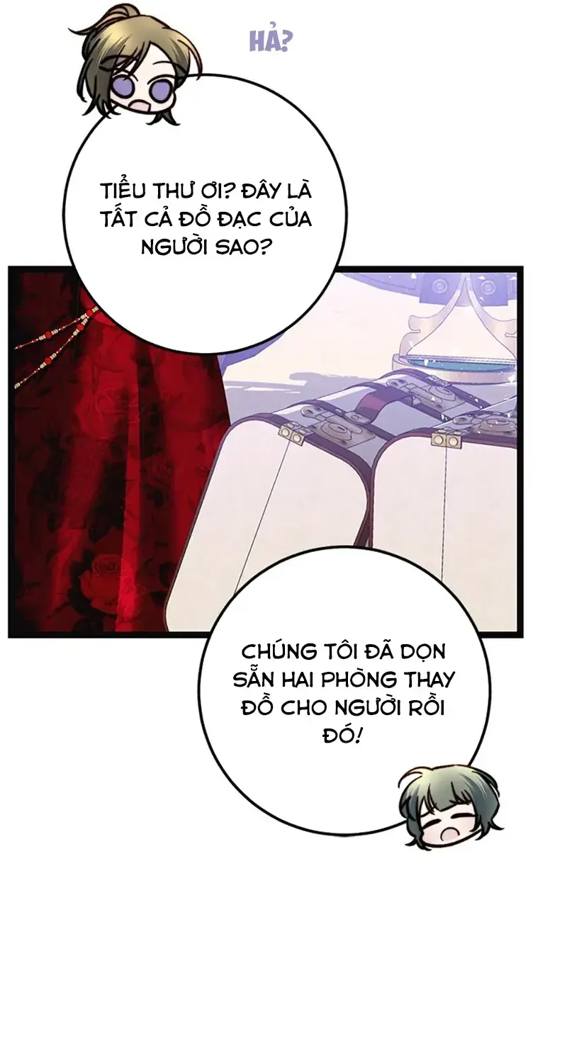 Chapter 11