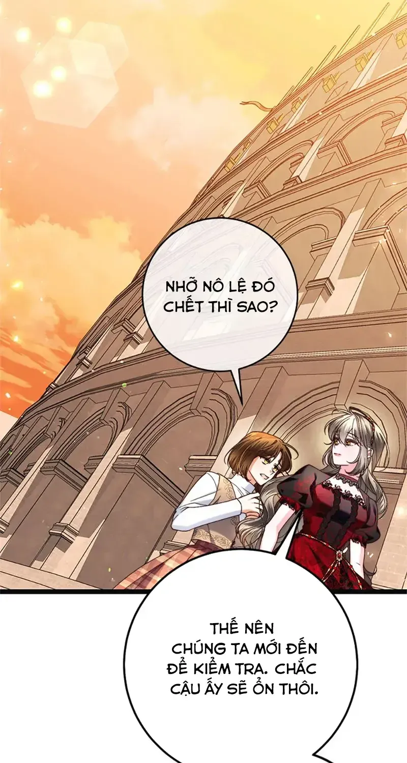 Chapter 11