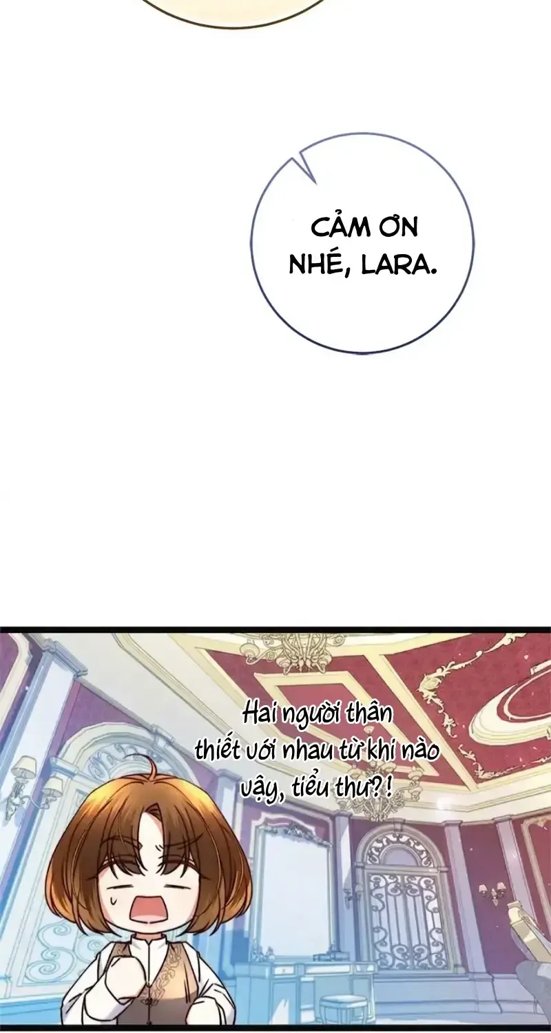 Chapter 12