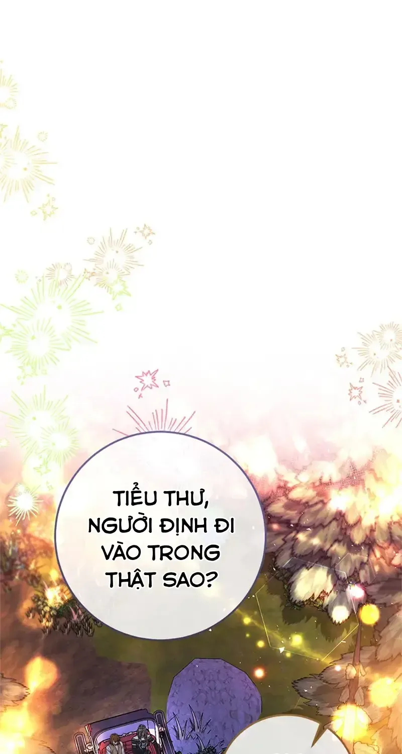 Chapter 12