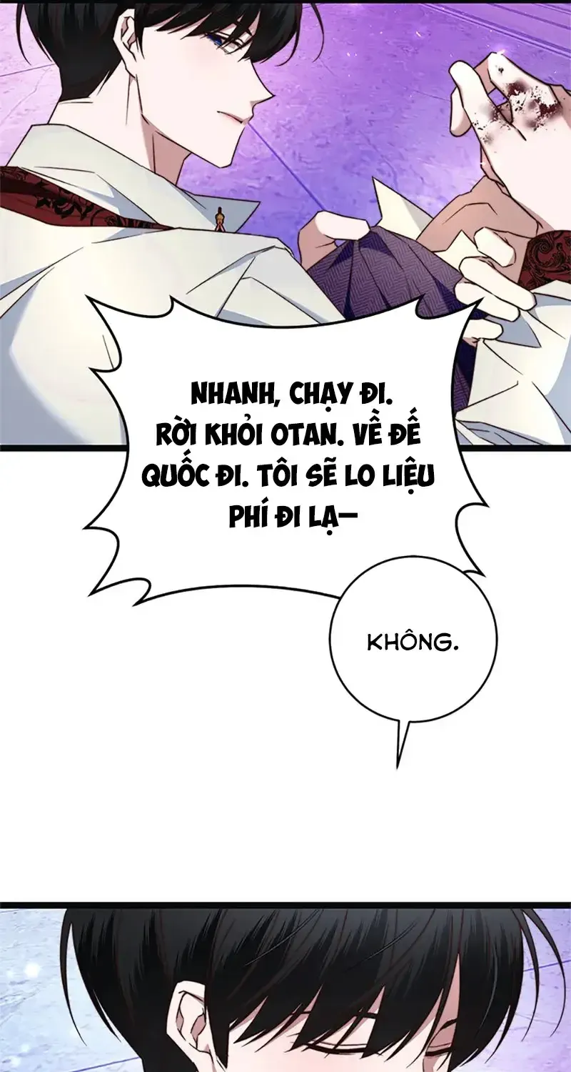 Chapter 13