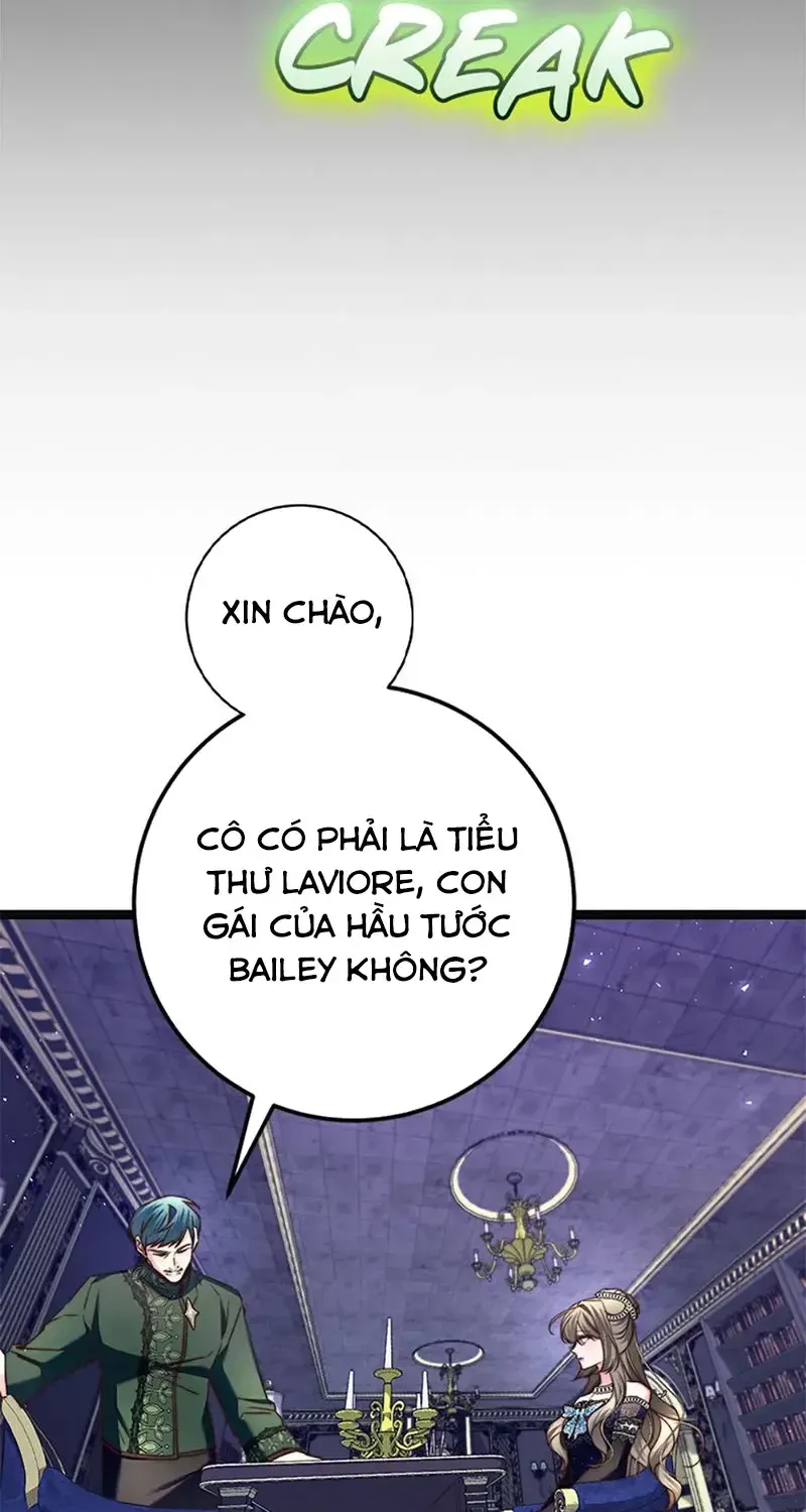 Chapter 13