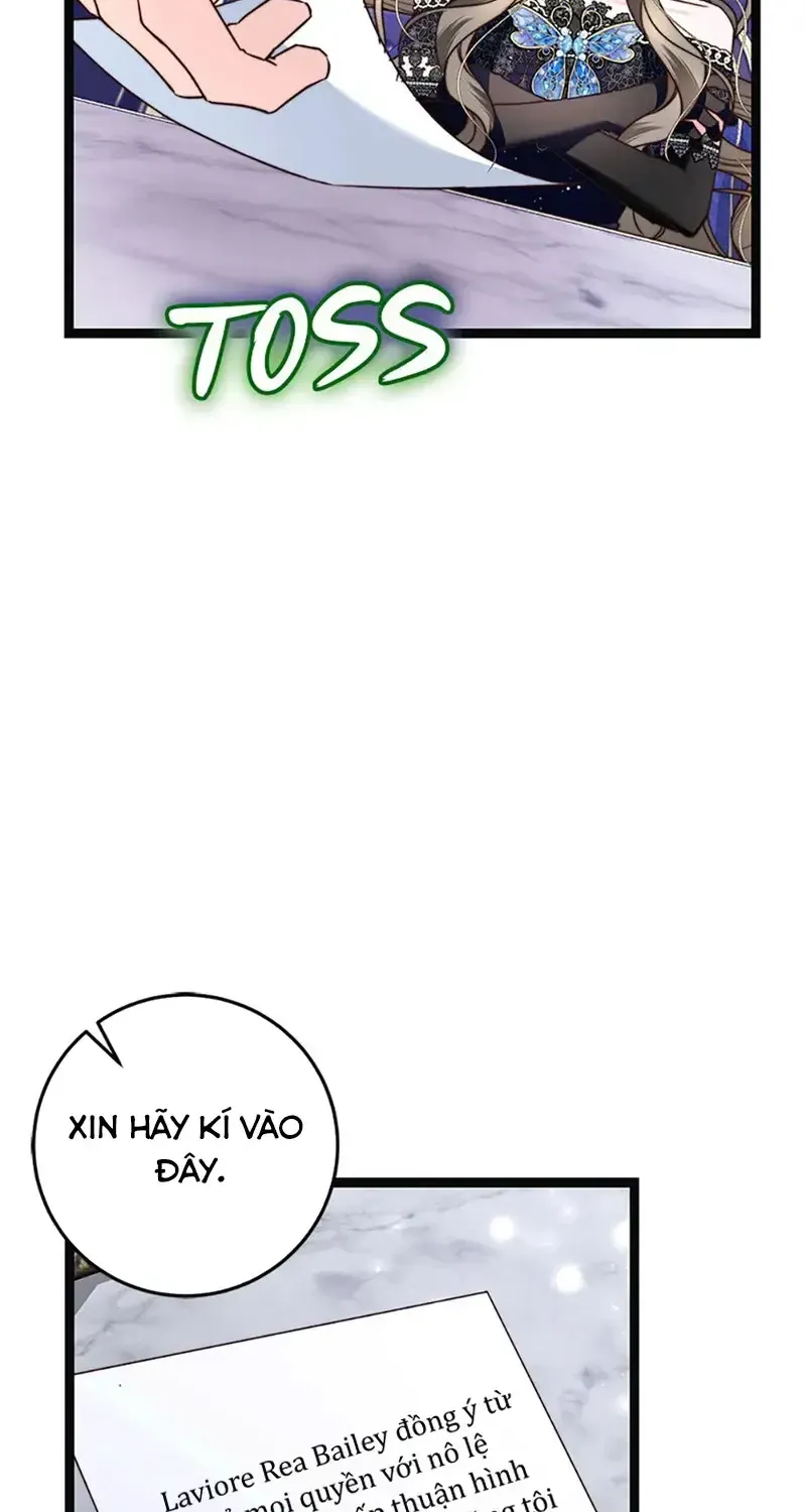 Chapter 13