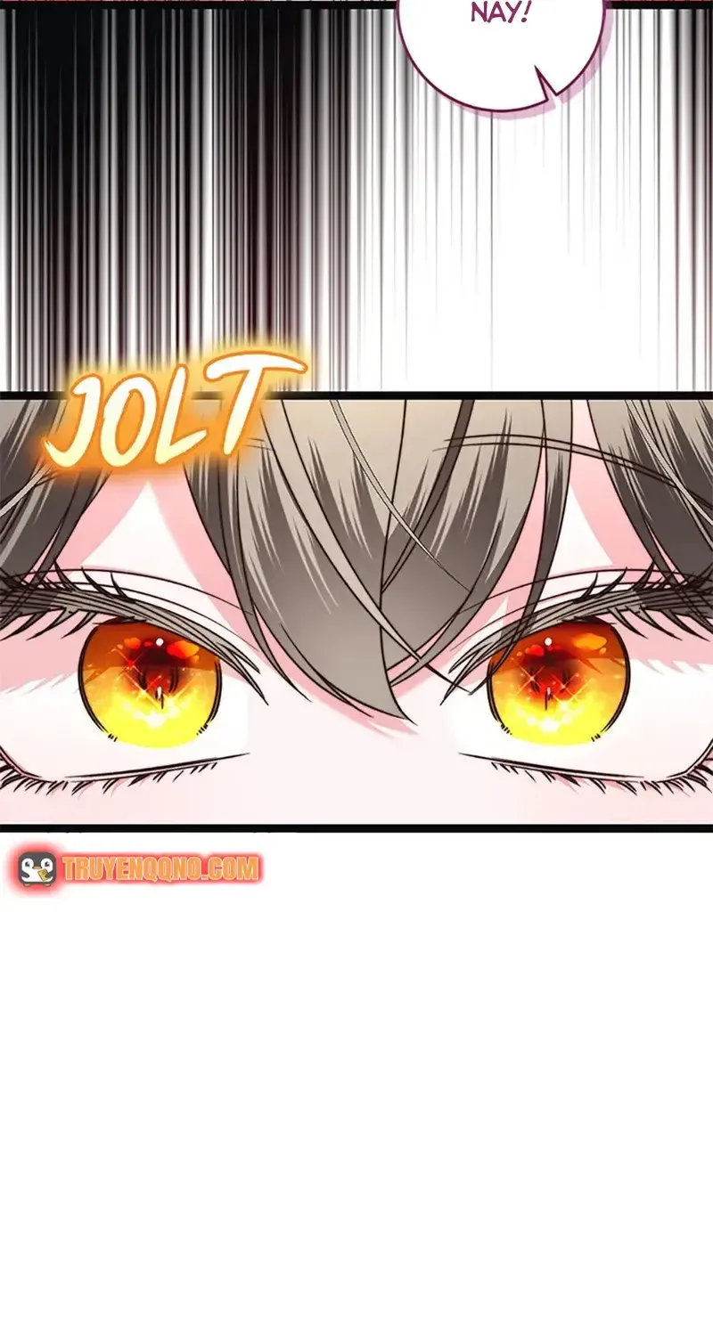 Chapter 13