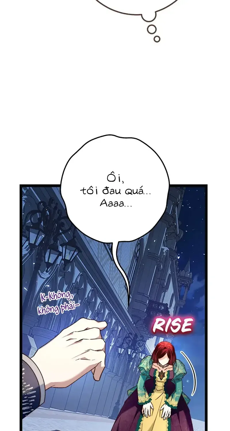 Chapter 13