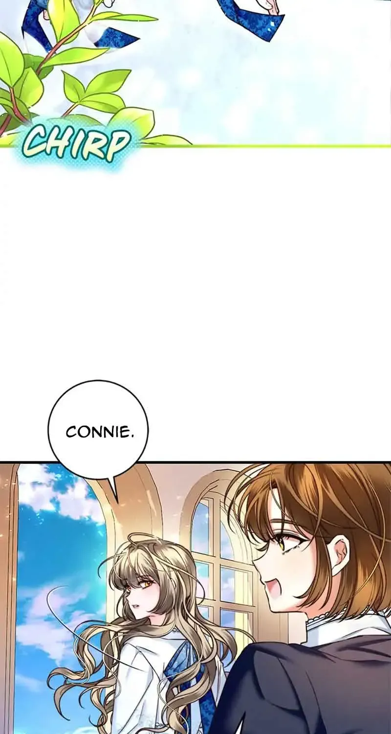 Chapter 3
