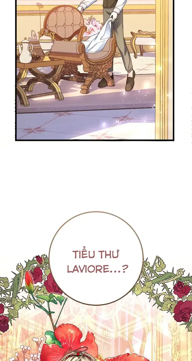 Chapter 5