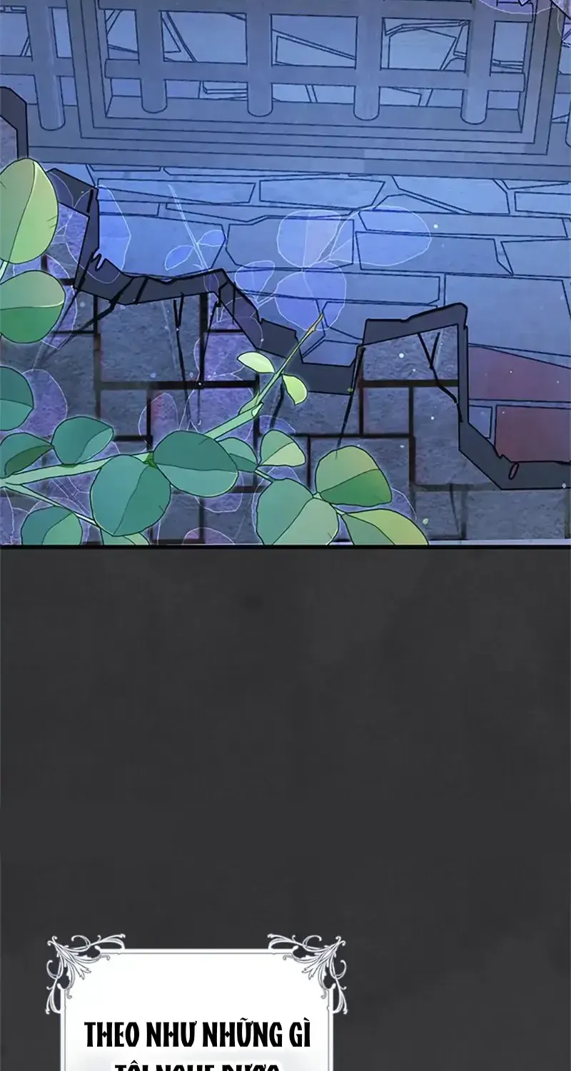 Chapter 5