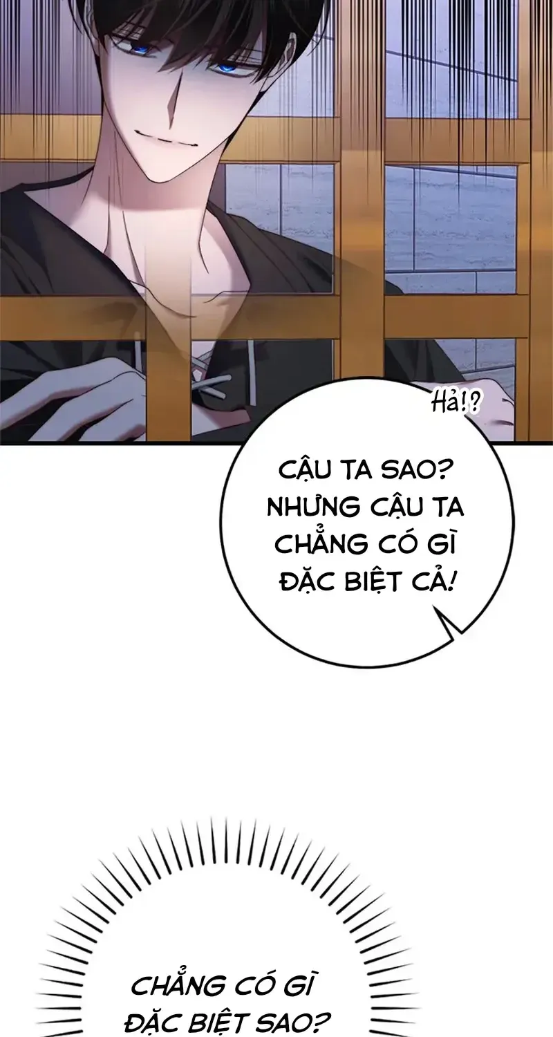 Chapter 5