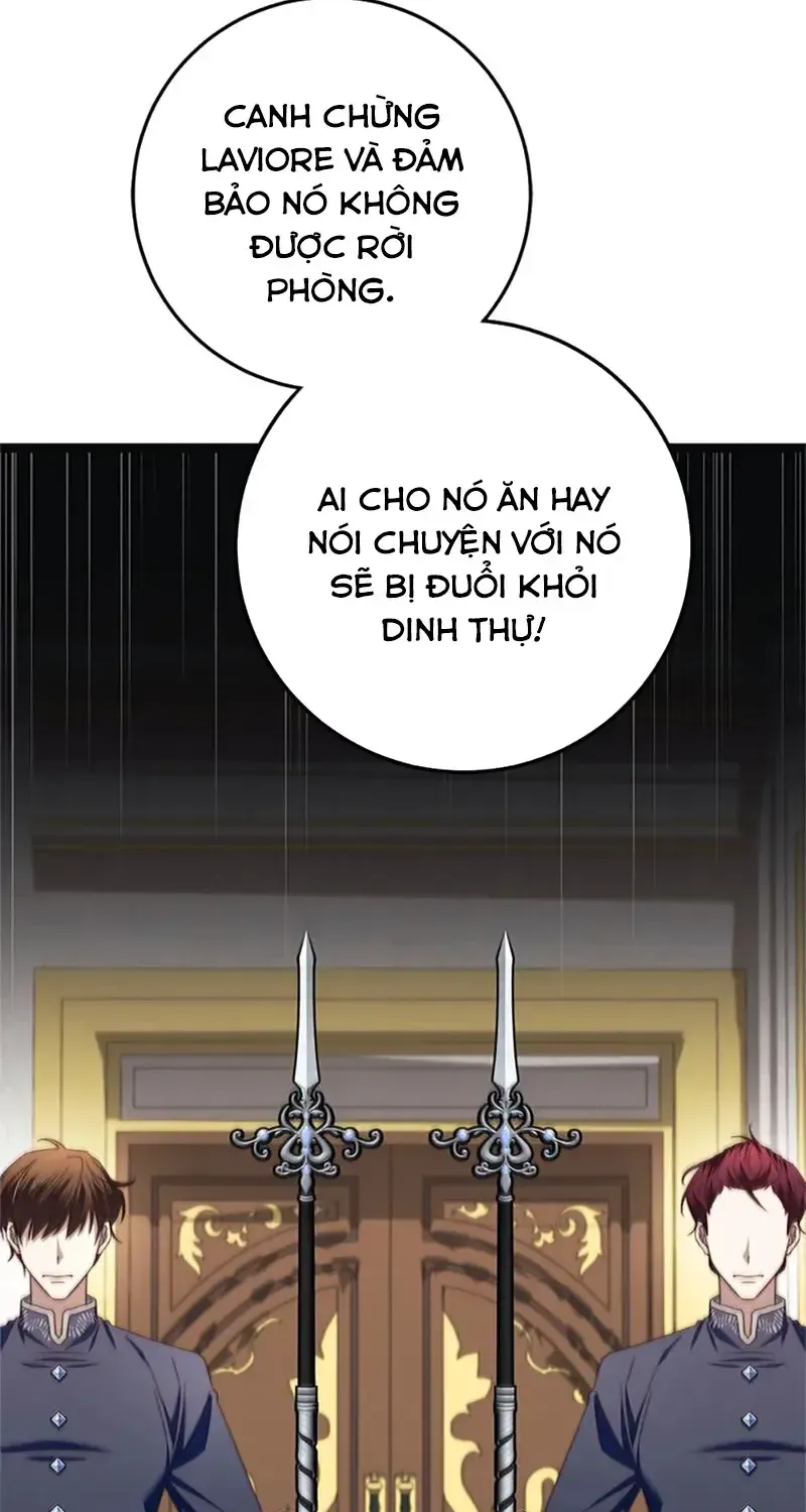 Chapter 10