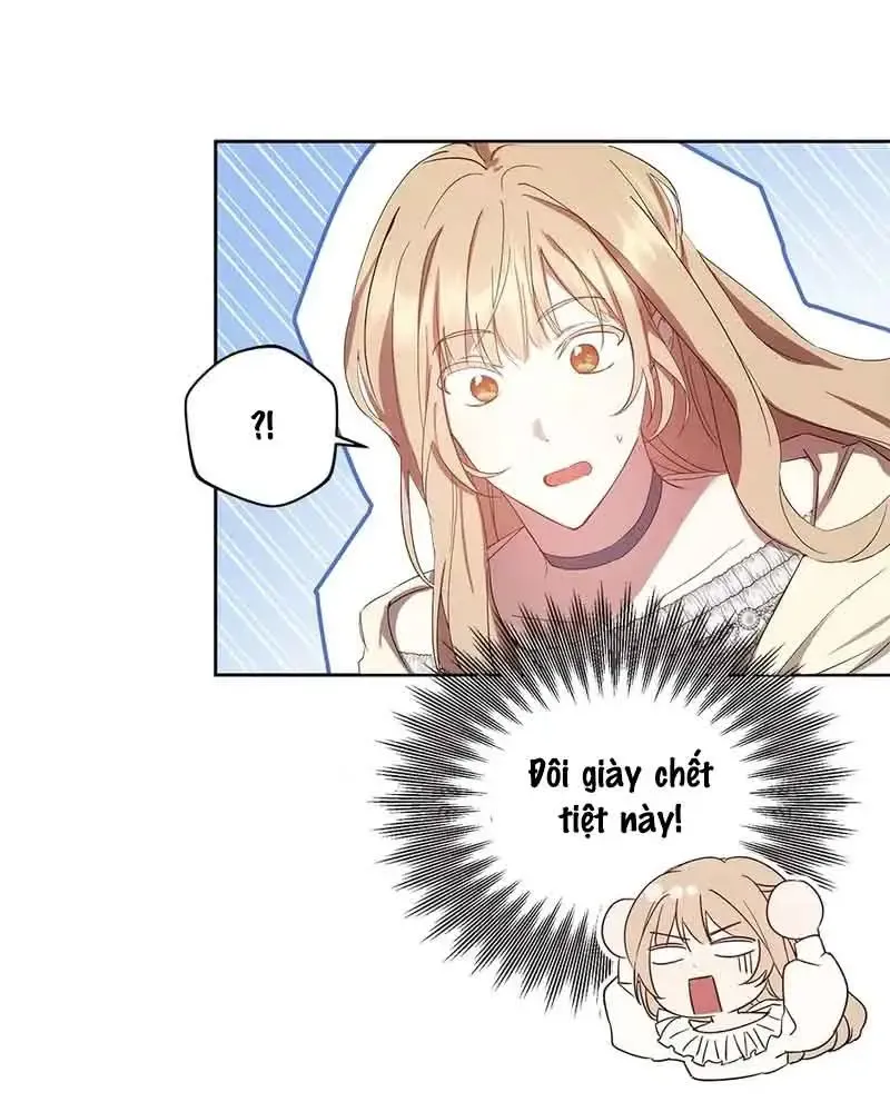 Chapter 2