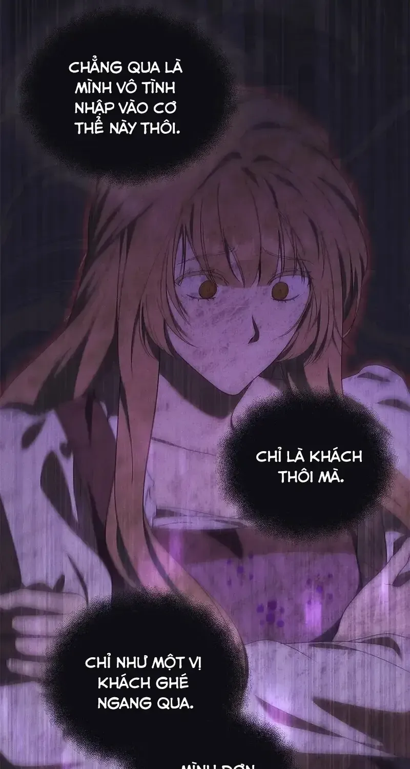 Chapter 11