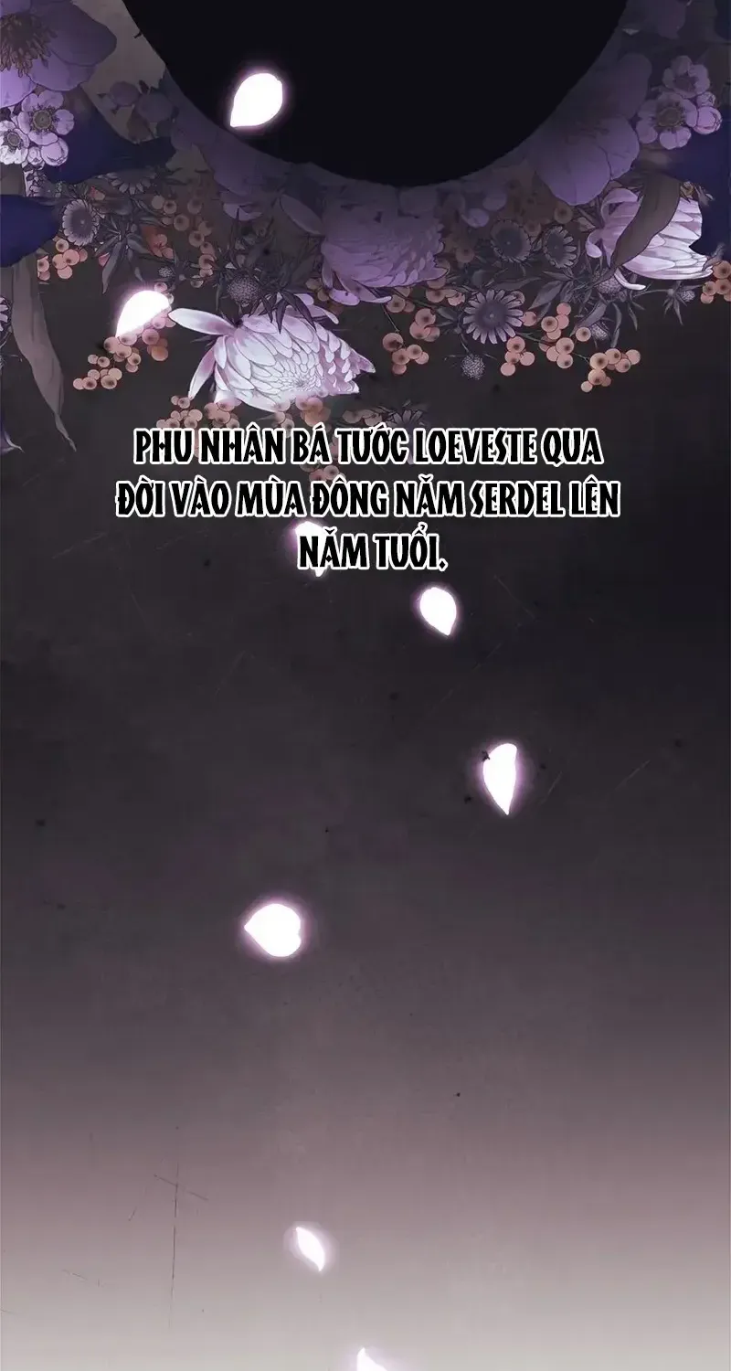 Chapter 11
