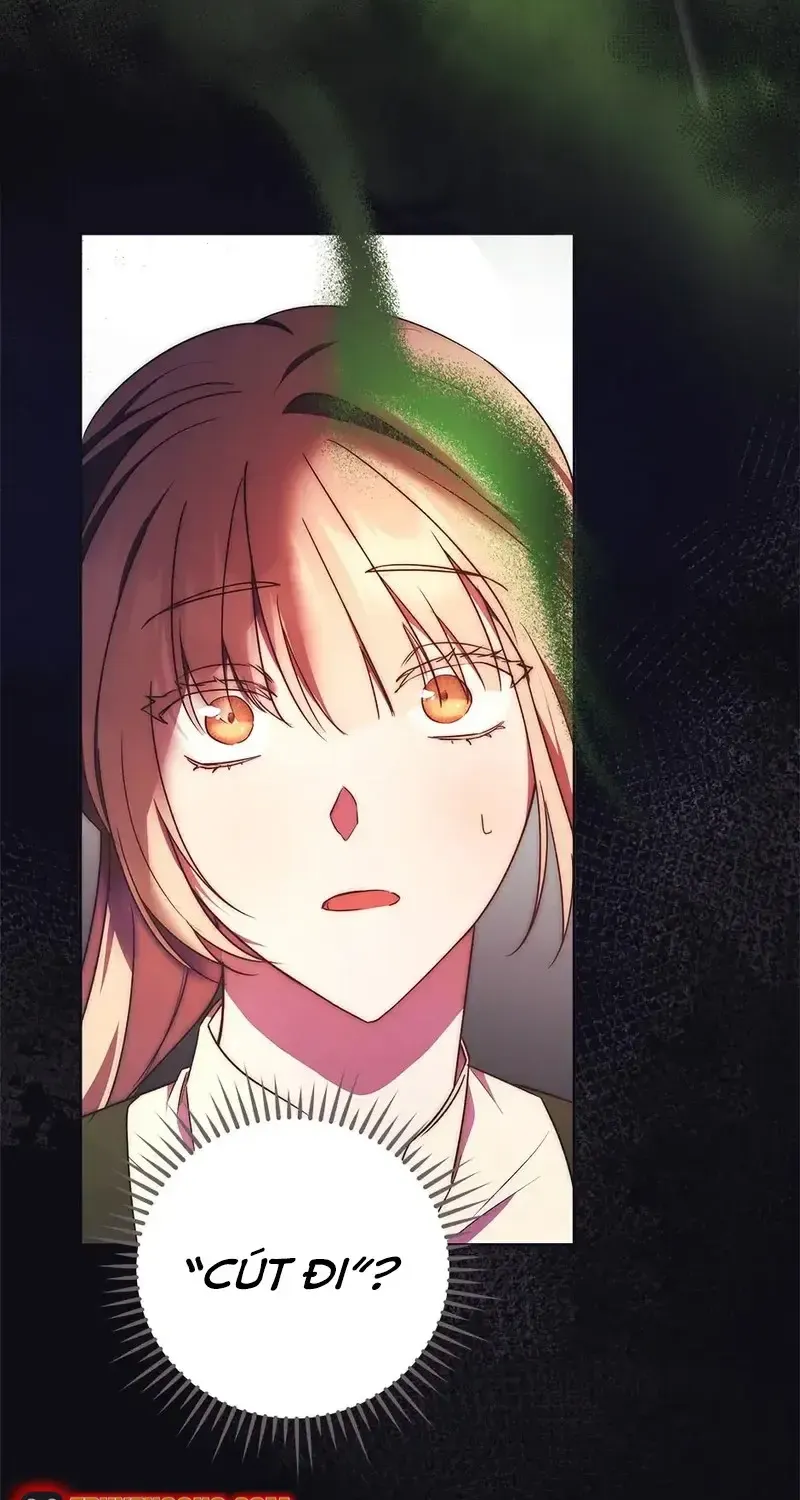 Chapter 11