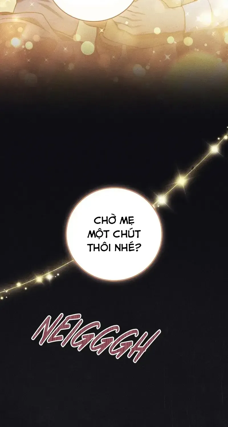 Chapter 13