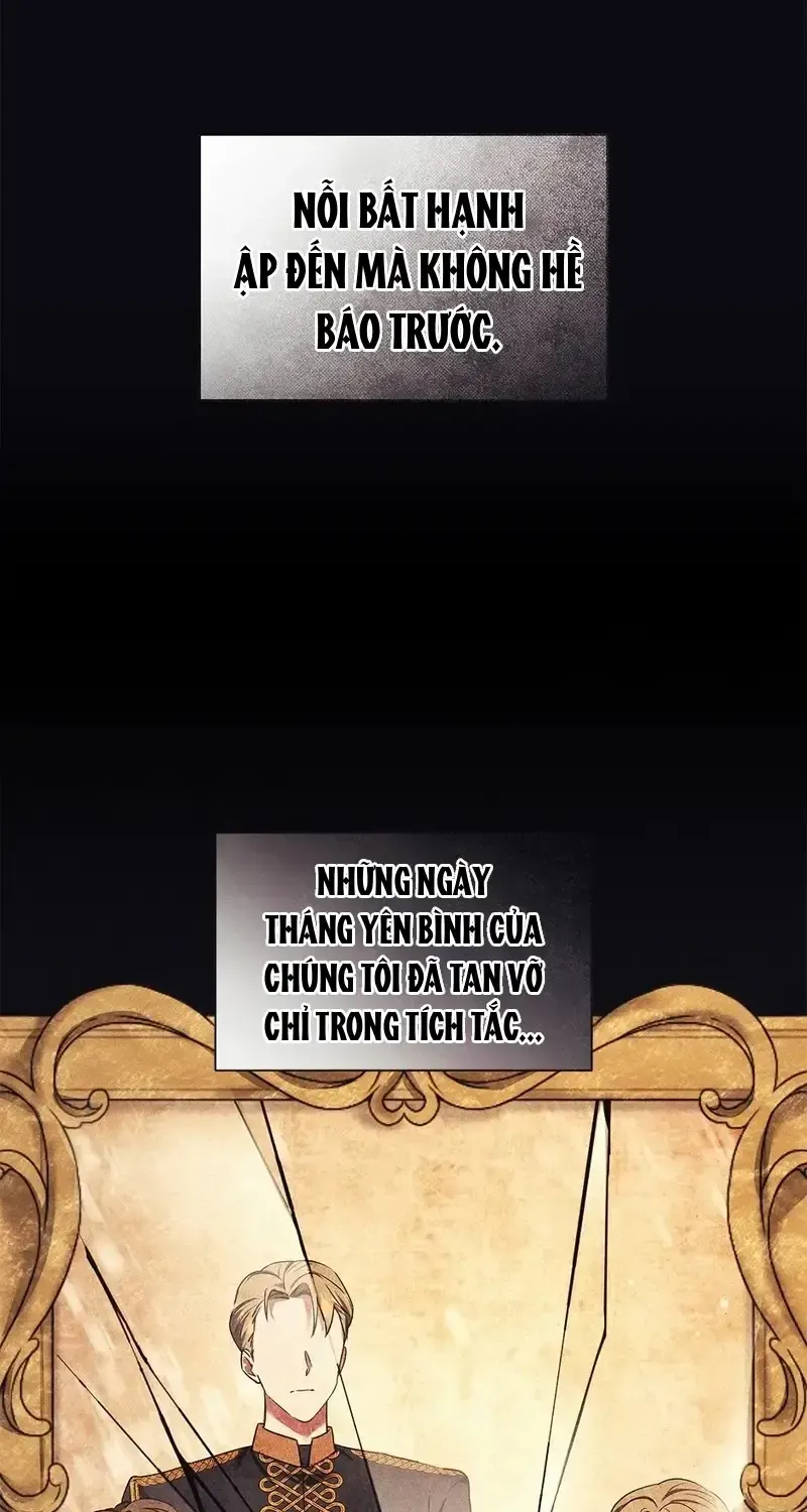 Chapter 13