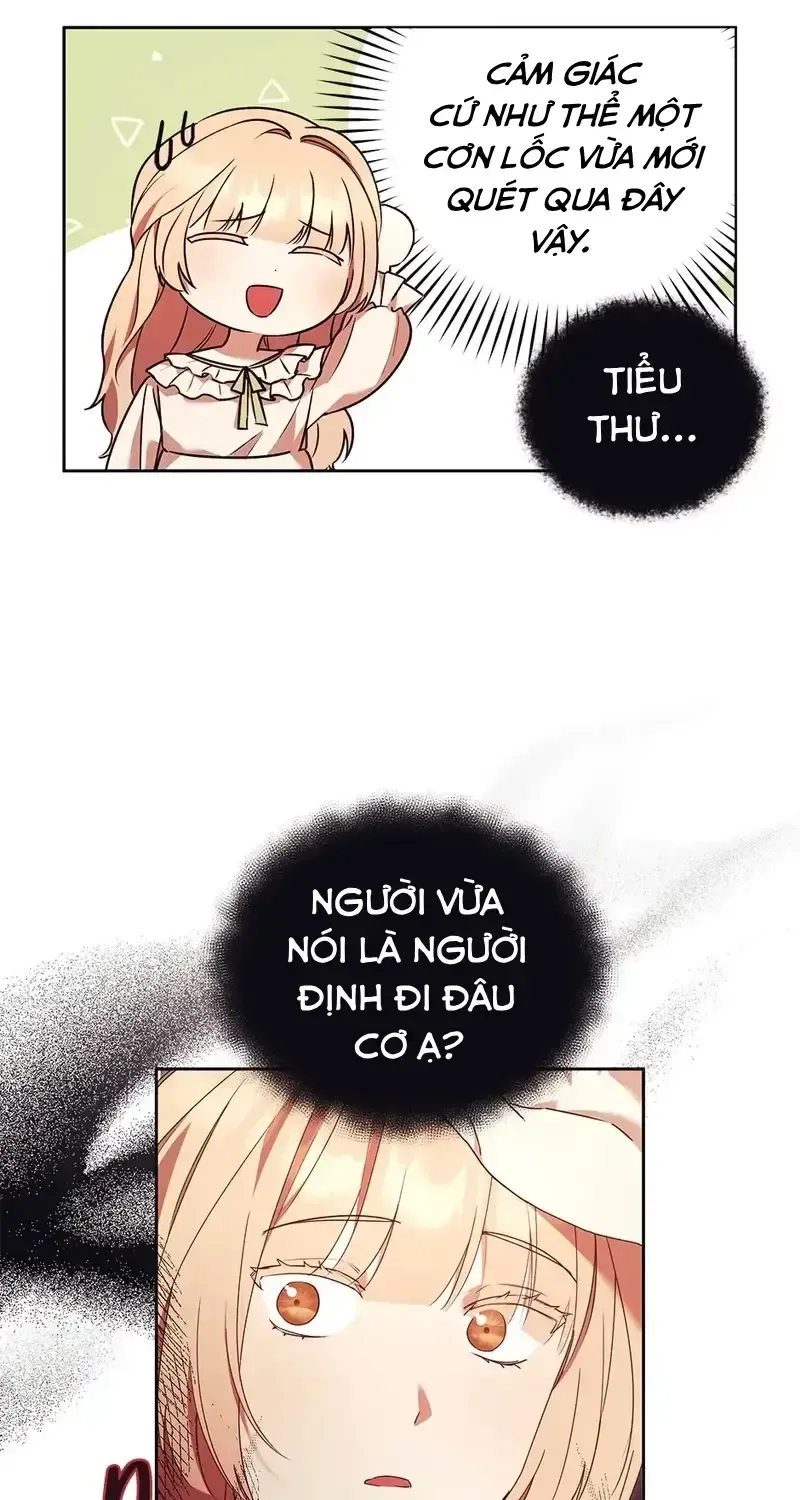 Chapter 13