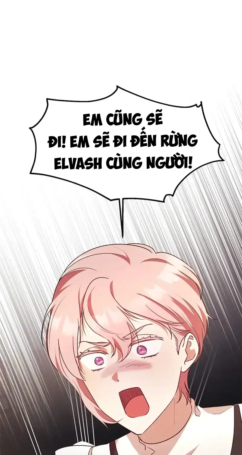 Chapter 13