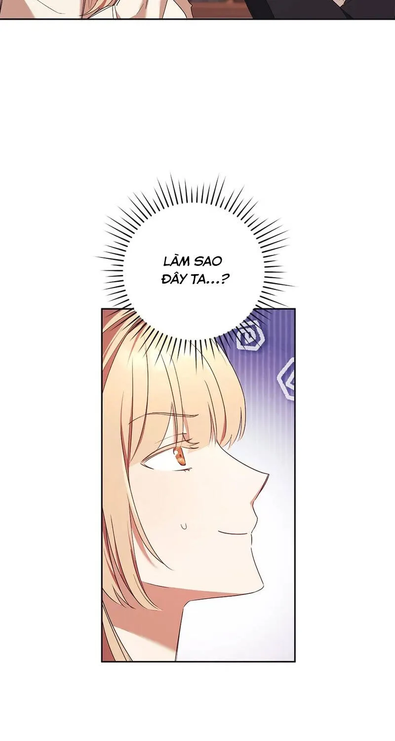 Chapter 14