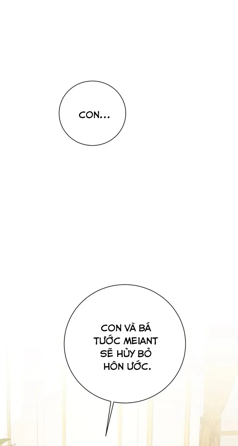 Chapter 3