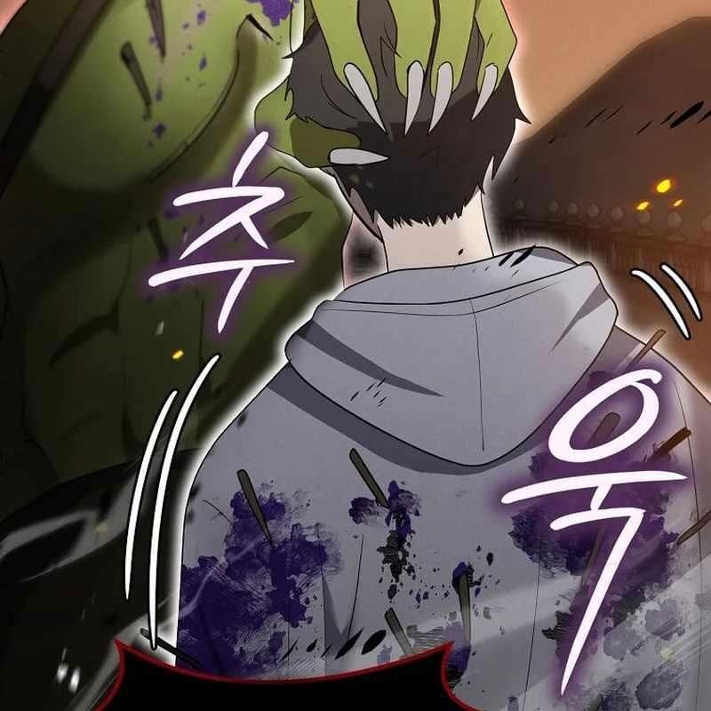 Chapter 12