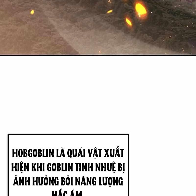 Chapter 12