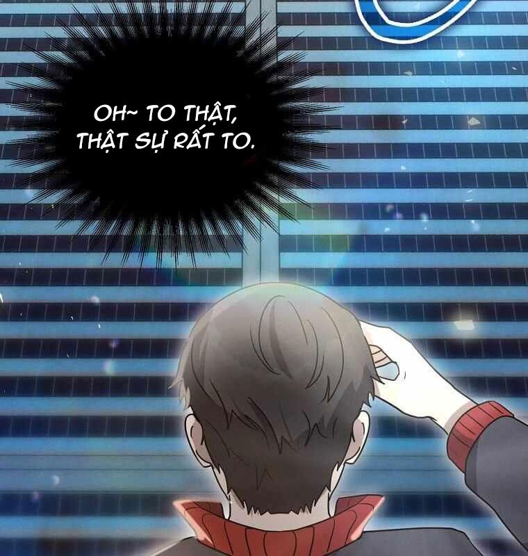 Chapter 13
