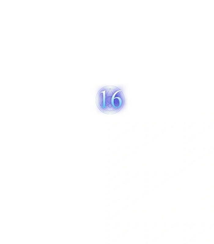 Chapter 16