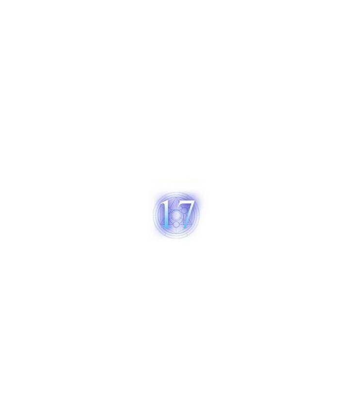 Chapter 17