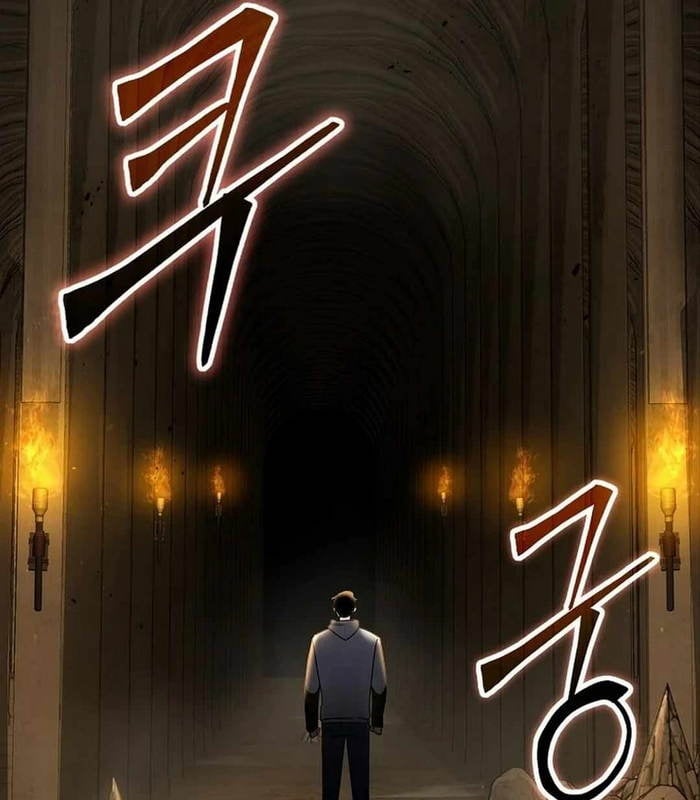 Chapter 26