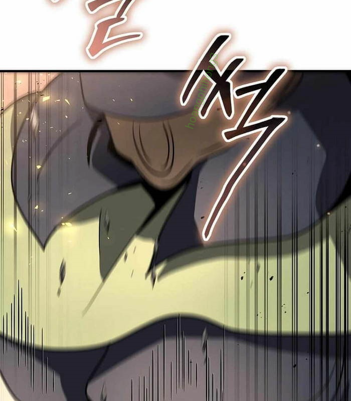 Chapter 29
