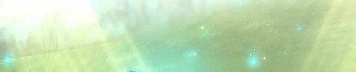Chapter 32