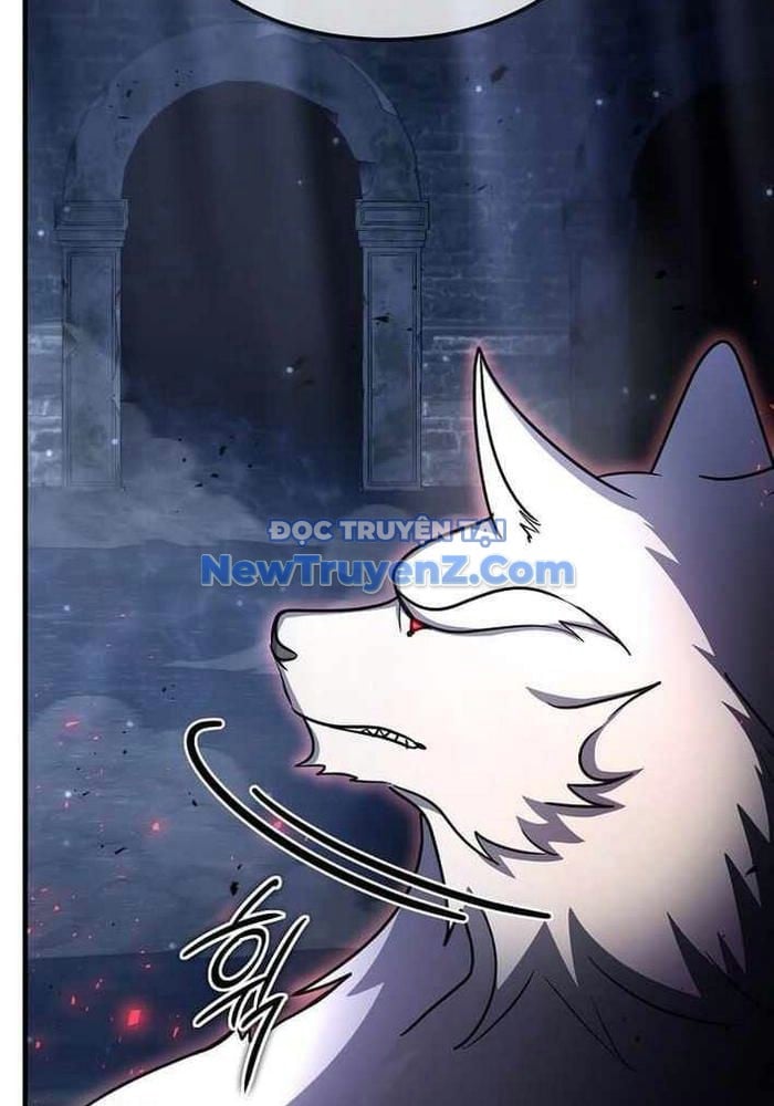 Chapter 41