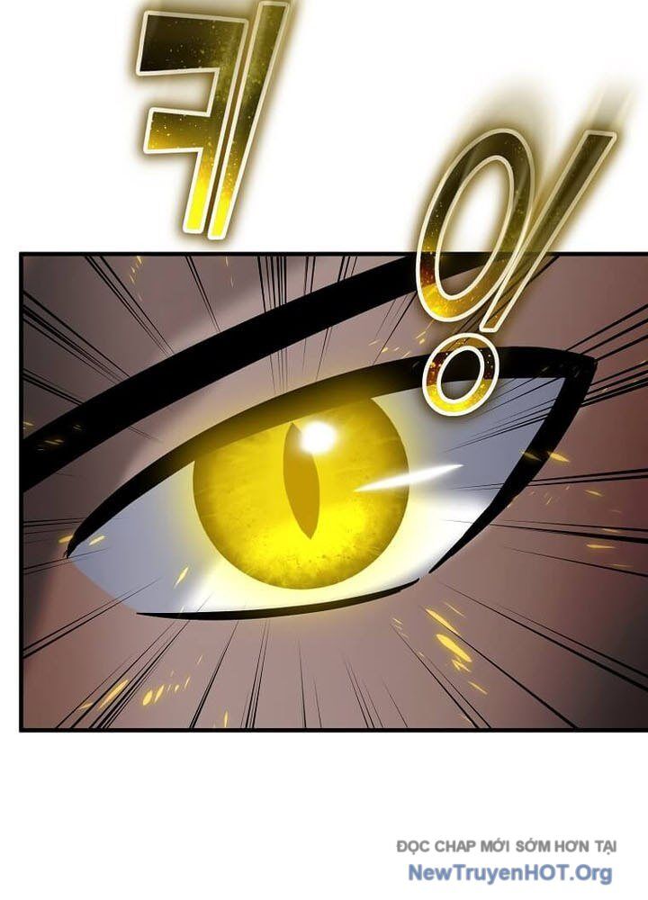 Chapter 50