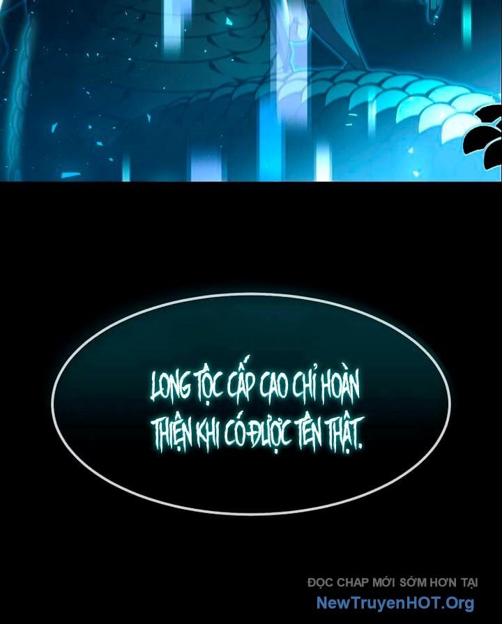 Chapter 51