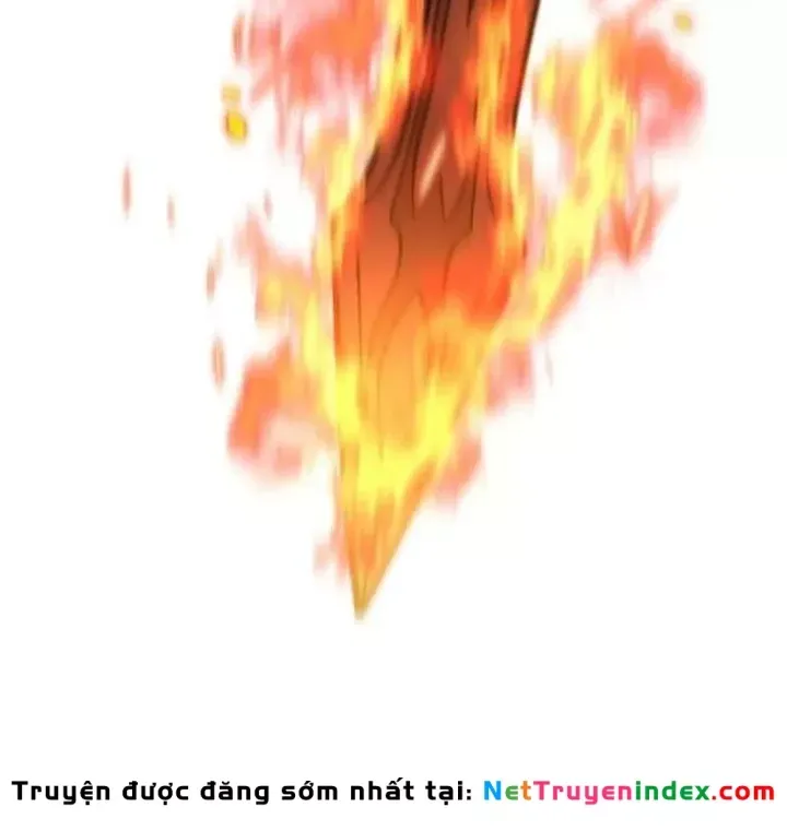 Chapter 81
