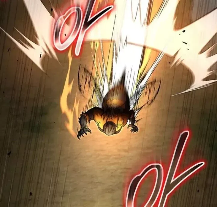 Chapter 81