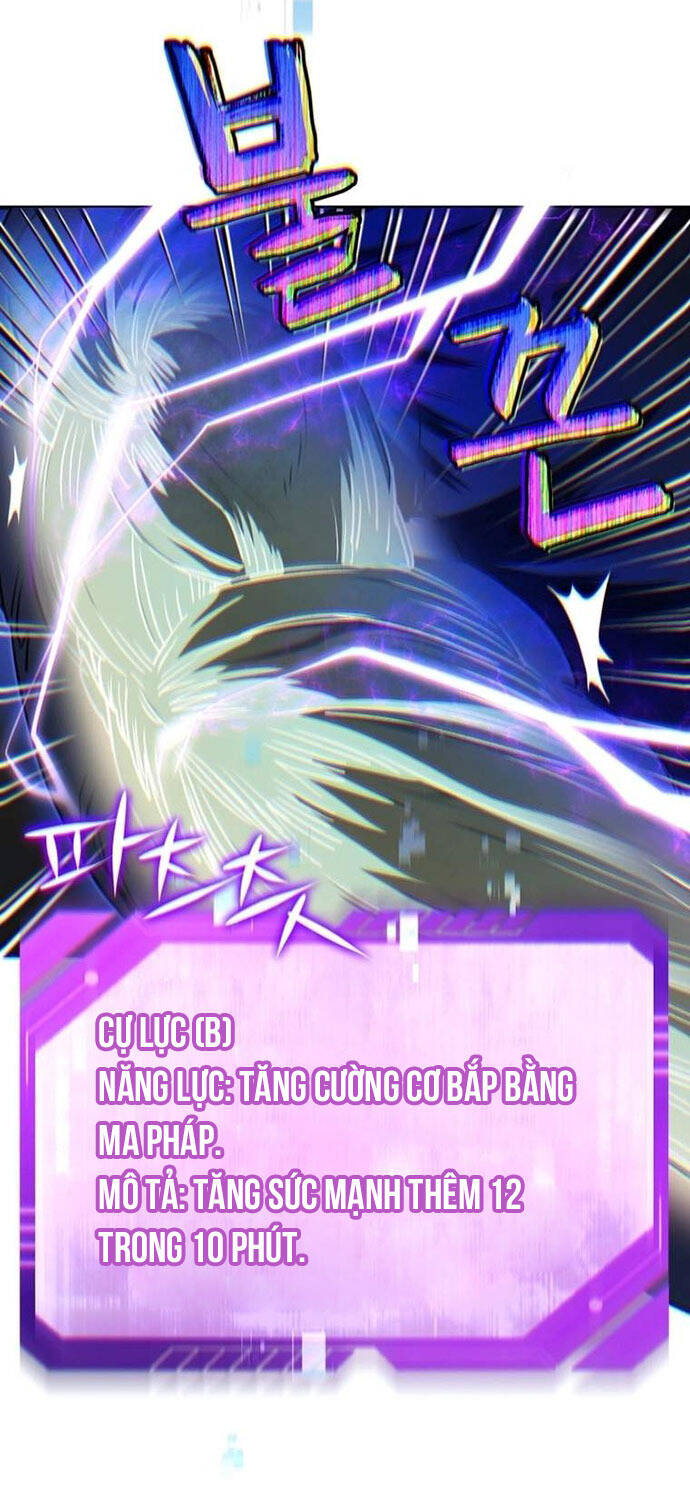 Chapter 13