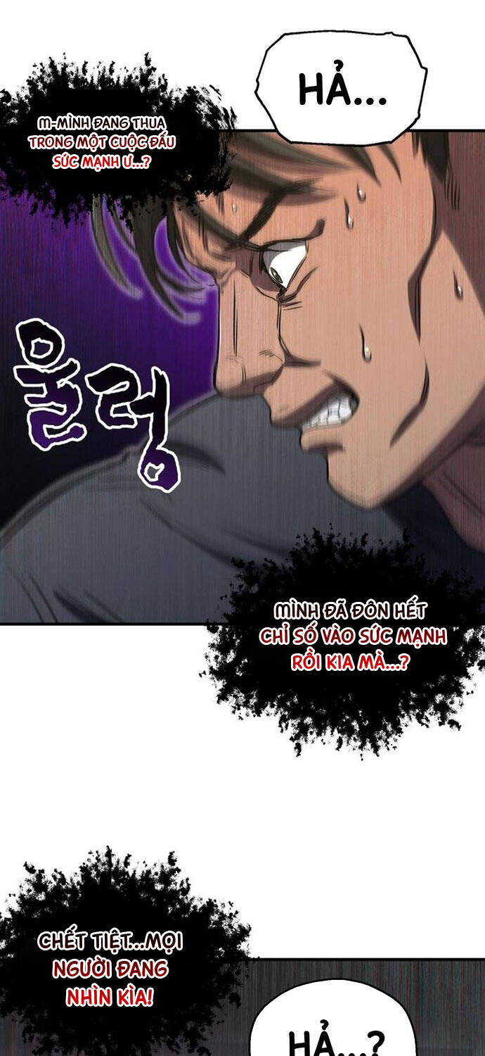 Chapter 13