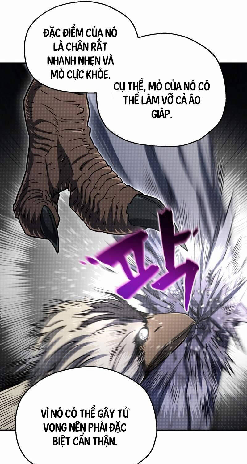 Chapter 17