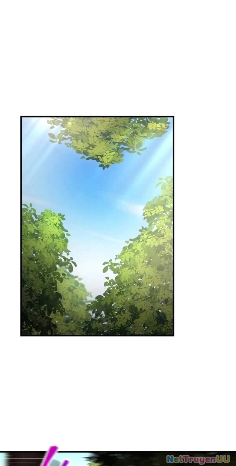 Chapter 19