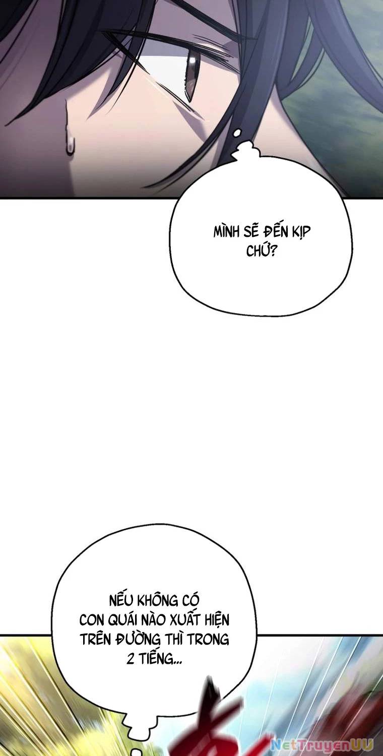 Chapter 19