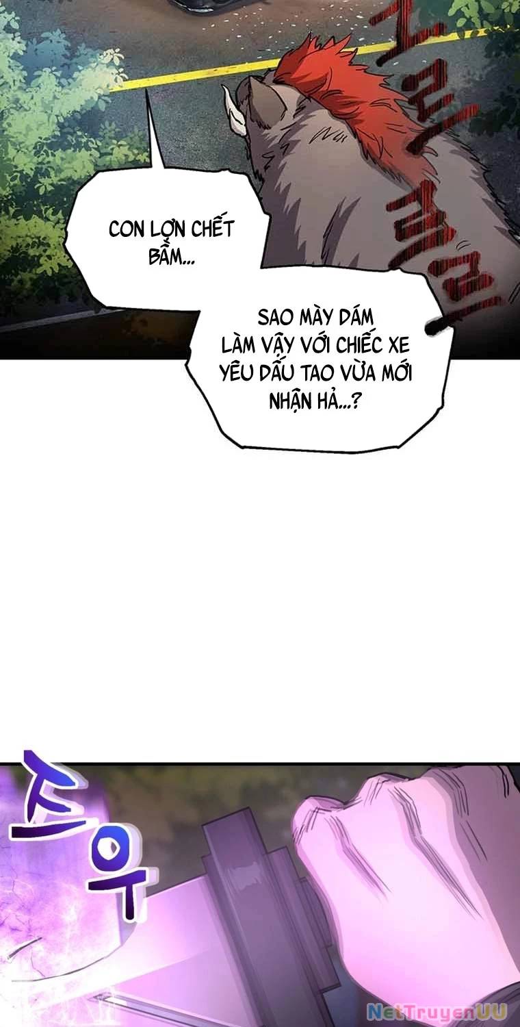 Chapter 19